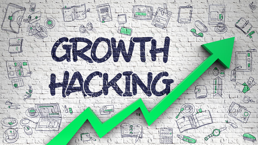 Read more about the article Growth Hacking: How To Hack The Growth Of Your Business?